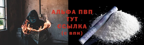 spice Богданович